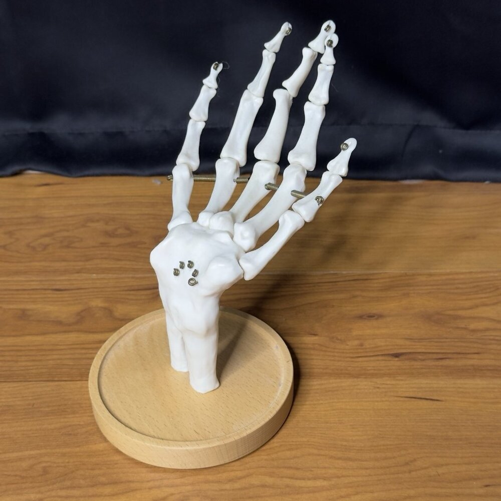 Suck UK Skeleton Hand Ring Holder Jewelry Dish Spooky Halloween White Wood Base